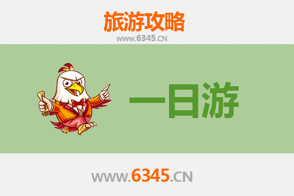 云林大埤自驾一日游攻略：探访田园风光与在地文化